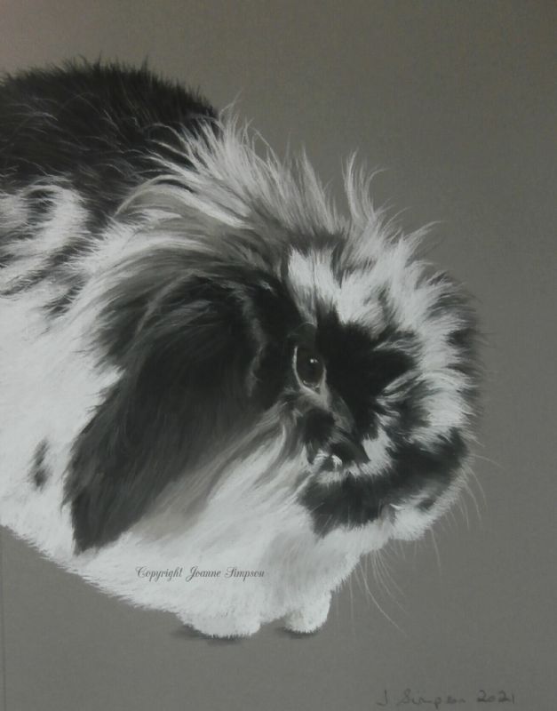 Rabbit pet portrait in pastels